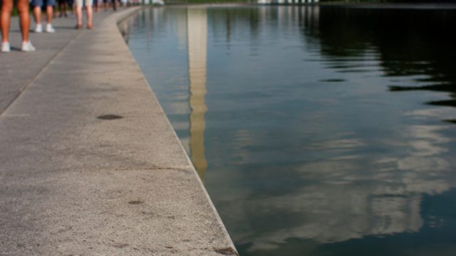 Reflecting Pool Controversy: Vandalism and Duck Deaths Raise Alarms